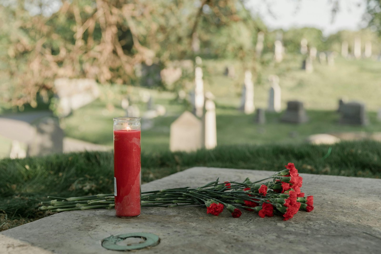 A serene cemetery scene with a red candle and carnations honoring a memory.